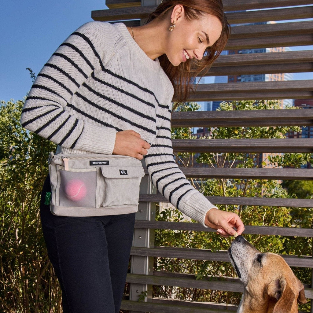 Dog Training Sling Bag product image 23