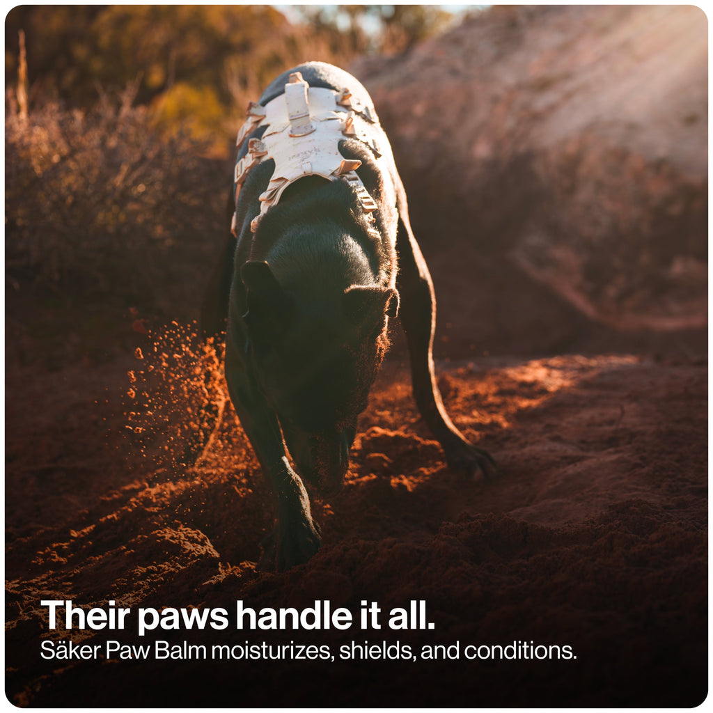 Dog Paw Balm product image 4