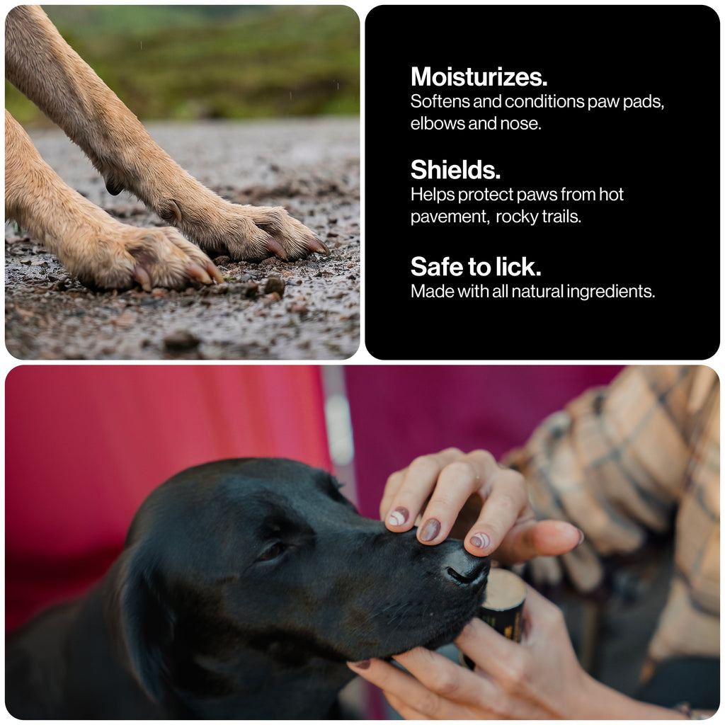 Dog Paw Balm product image 6