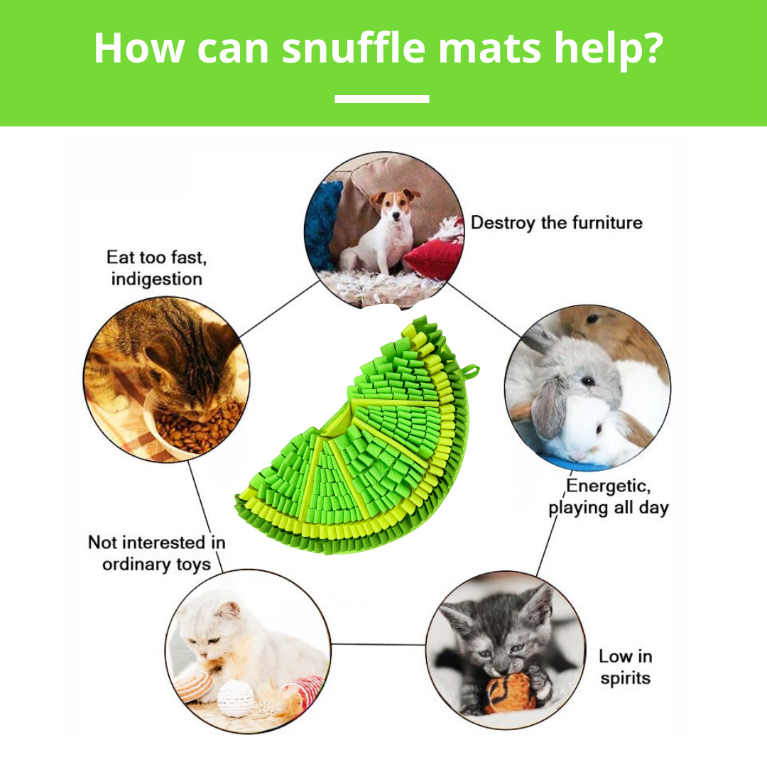 Dog Snuffle Mat product image 3