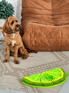 Dog Snuffle Mat product image 9