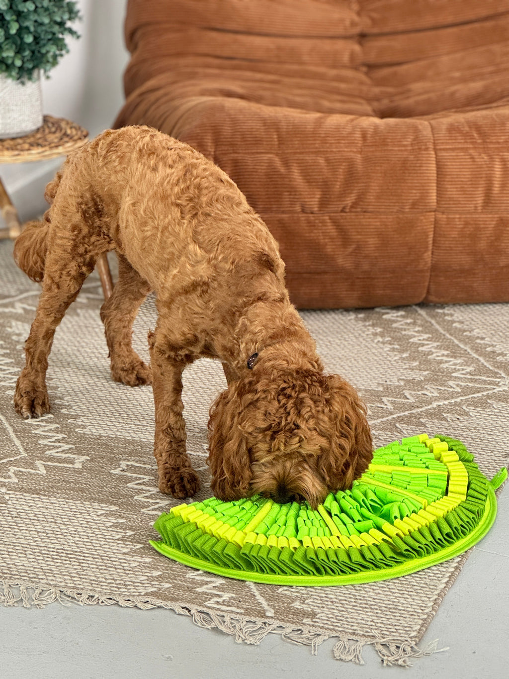 Dog Snuffle Mat product image 10