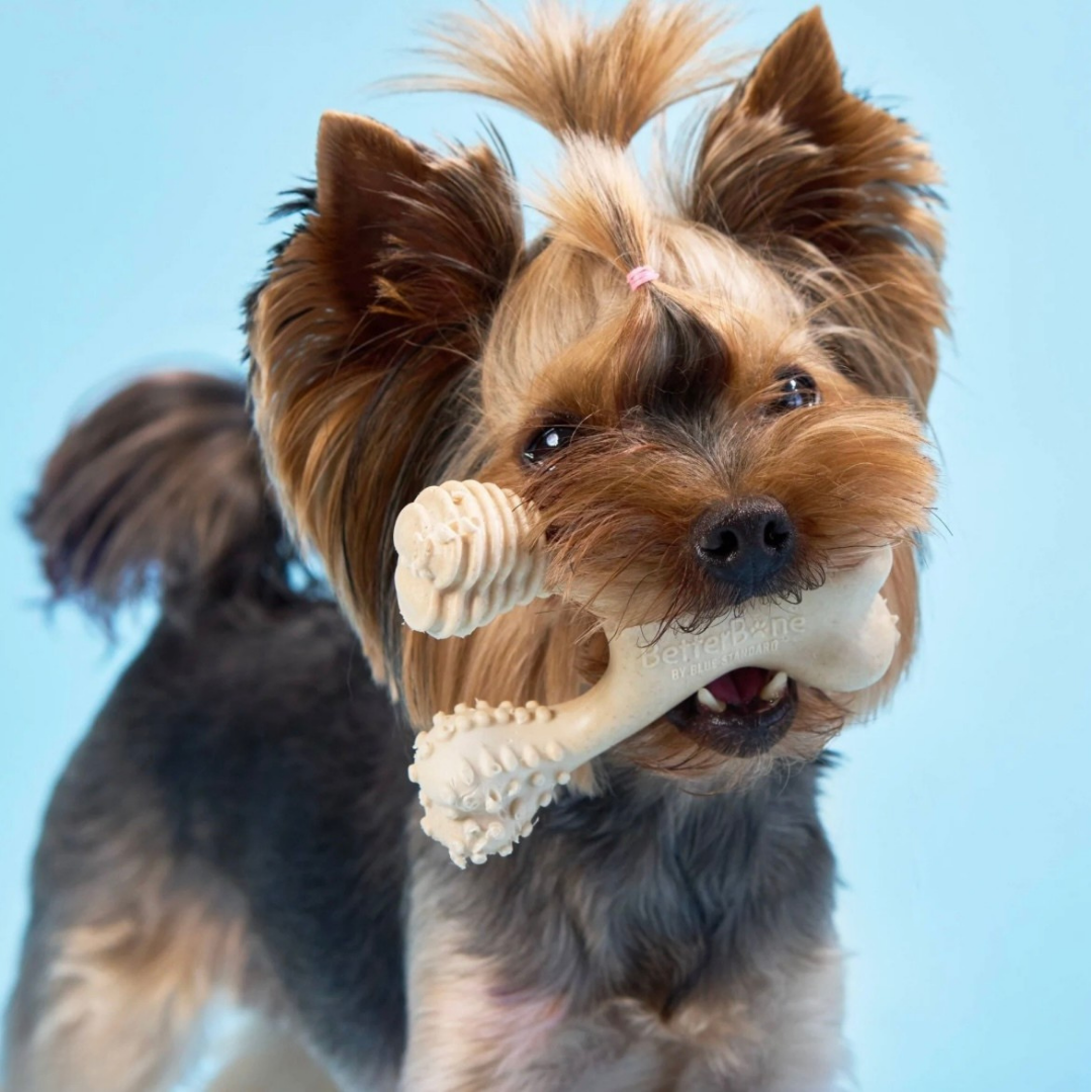Dog Chew Toy product image 2