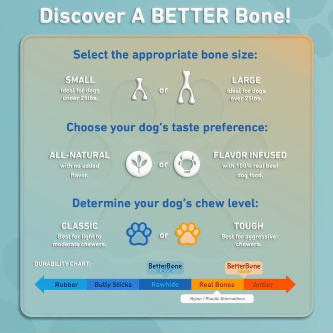 Dog Chew Toy product image 5
