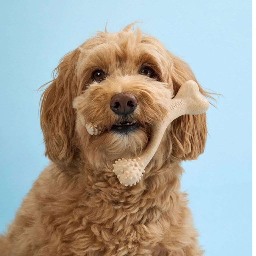 Dog Chew Toy product image 6