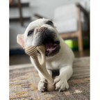 Dog Chew Toy product image 8