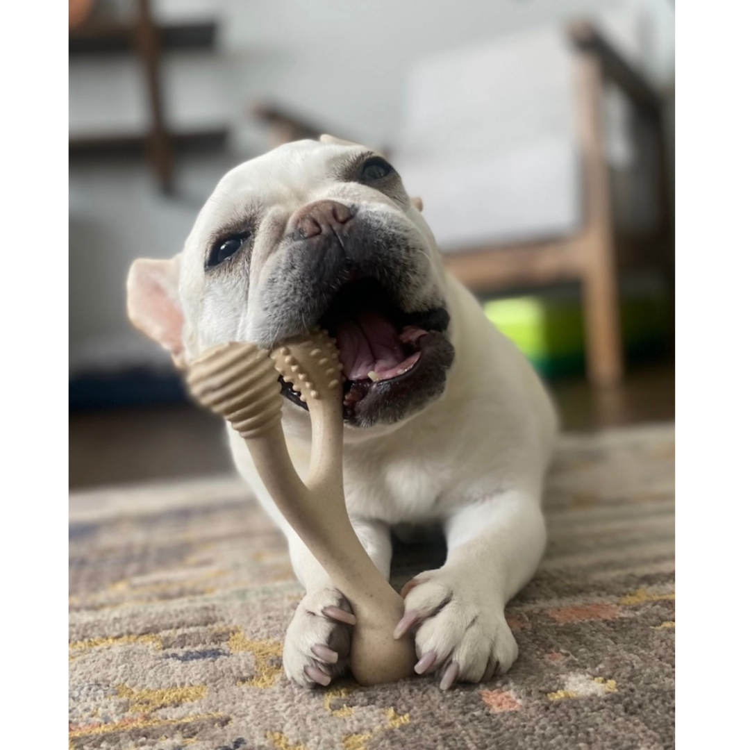 Dog Chew Toy product image 8
