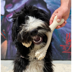 Dog Chew Toy product image 11