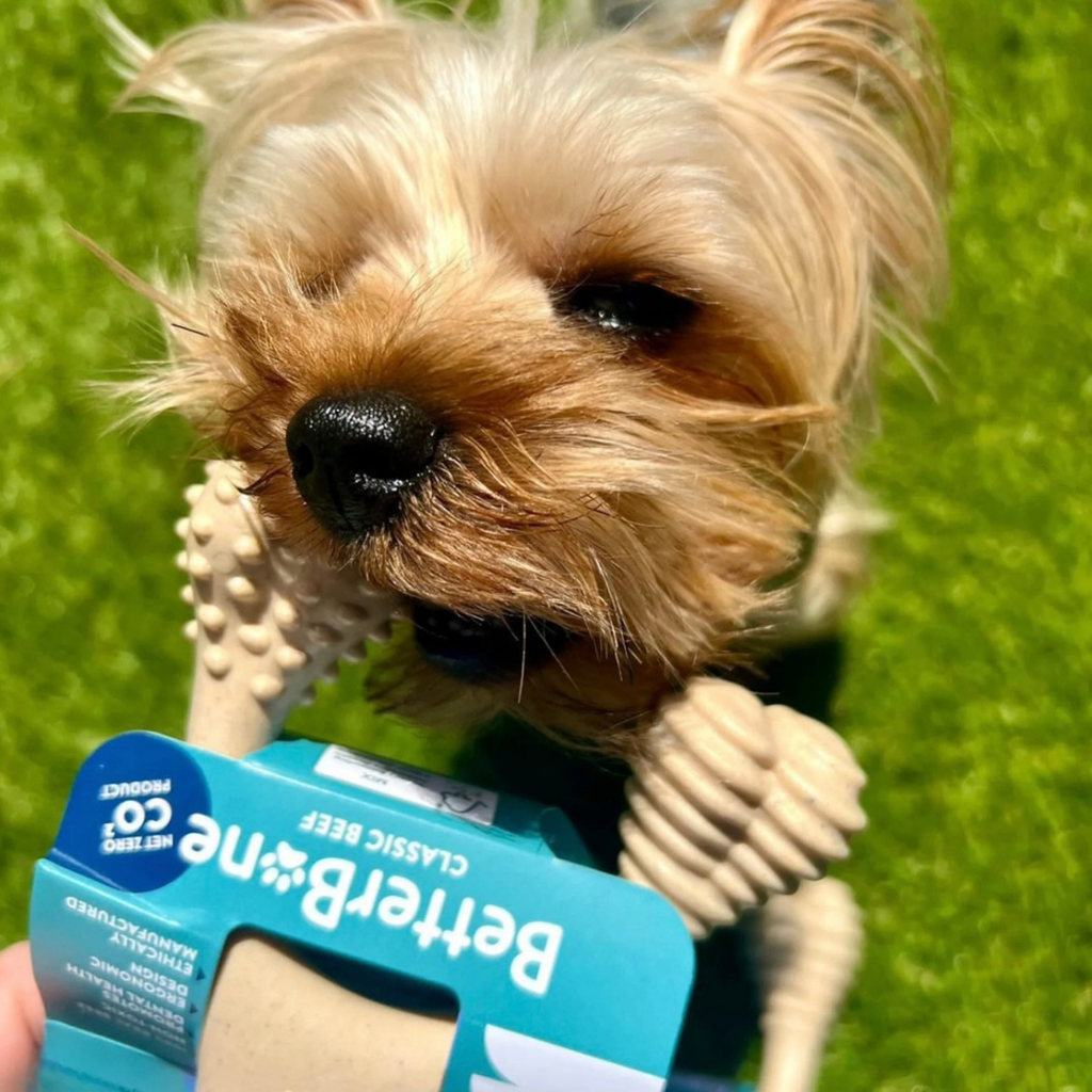 Dog Chew Toy product image 12