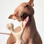 Dog Chew Toy product image 13