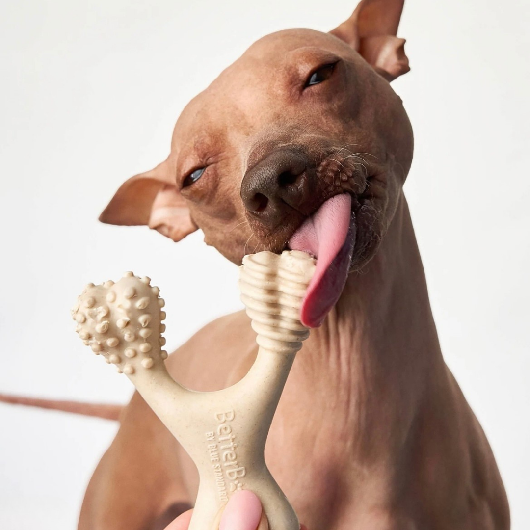 Dog Chew Toy product image 13