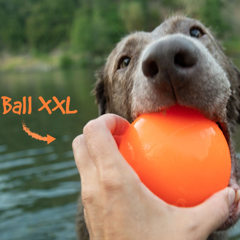 Dog Toys product image 7