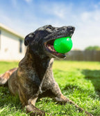 Dog Toys product image 18