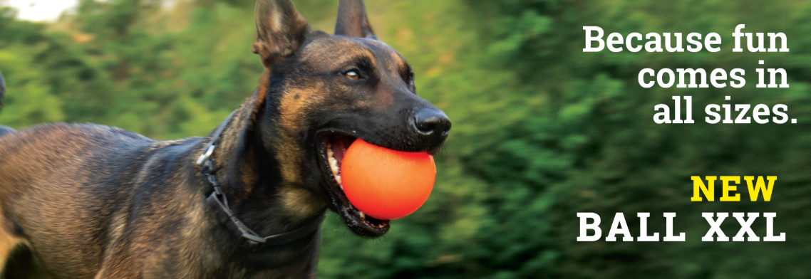 Dog Toys product image 21