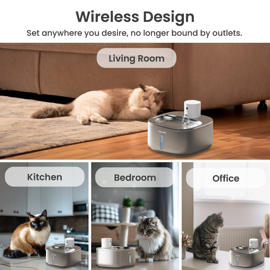 Pet Water Fountain product image 7