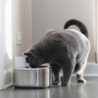 Pet Water Fountain product image 9