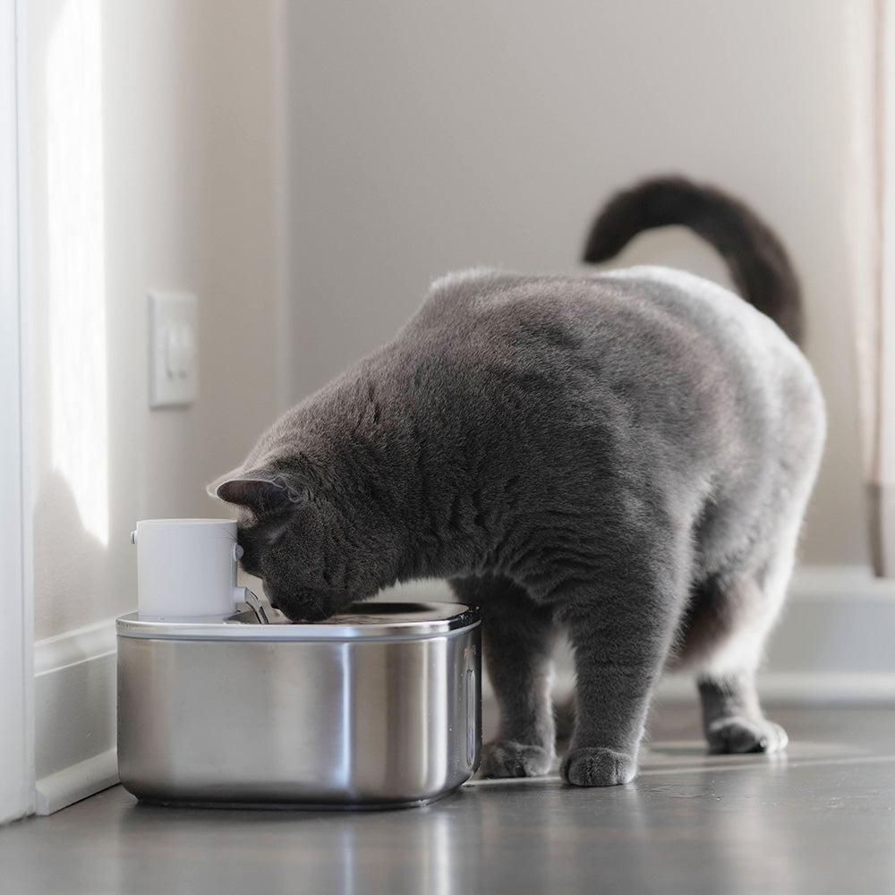Pet Water Fountain product image 9