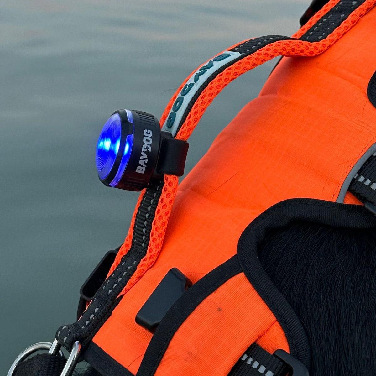 LED Safety Light product image 6