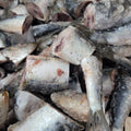 Raw Sardines product image 1