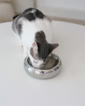 Whisker Fatigue Cat Bowl product image 1