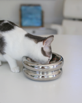 Elevated Cat Bowl product image 1