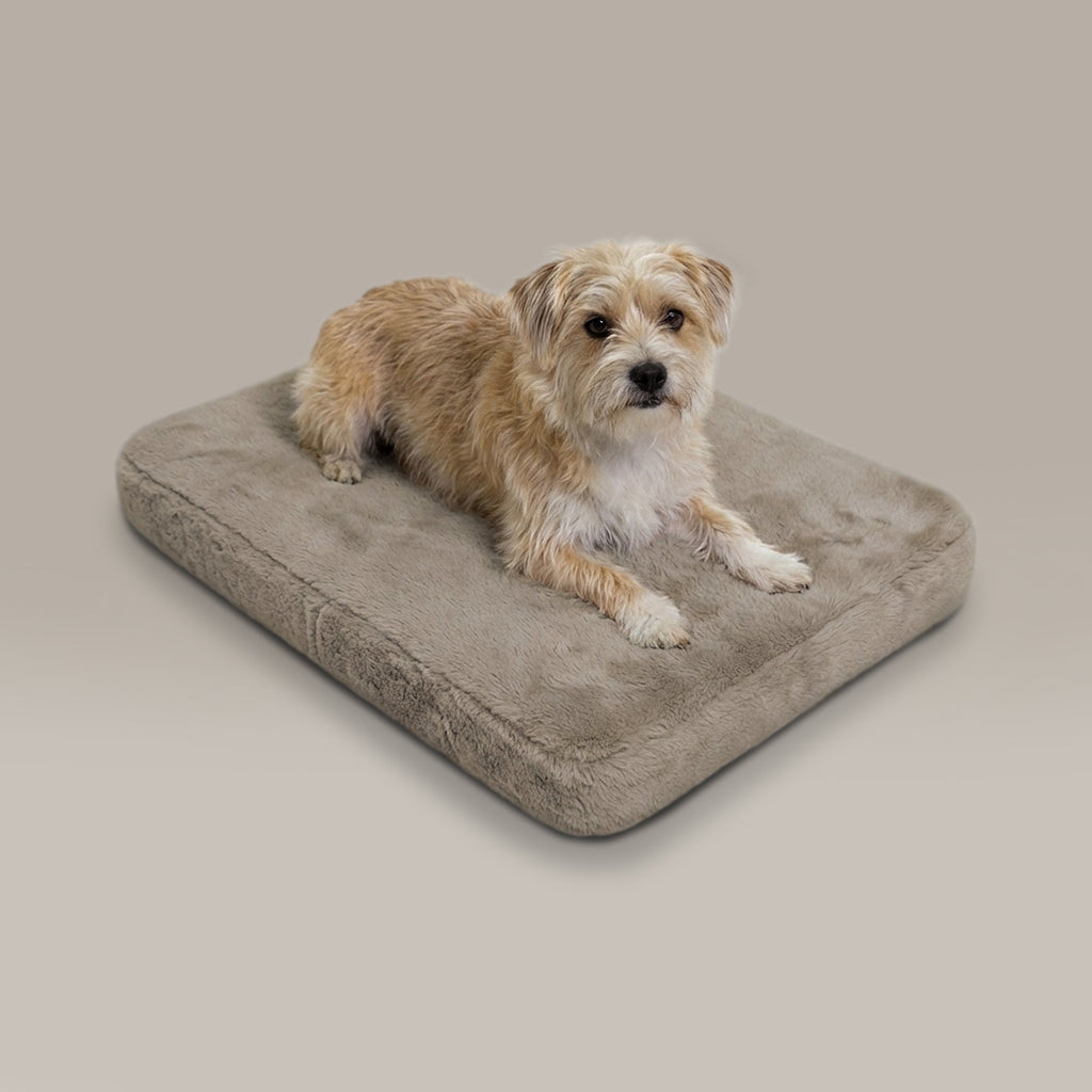 Dog Bed product image 1