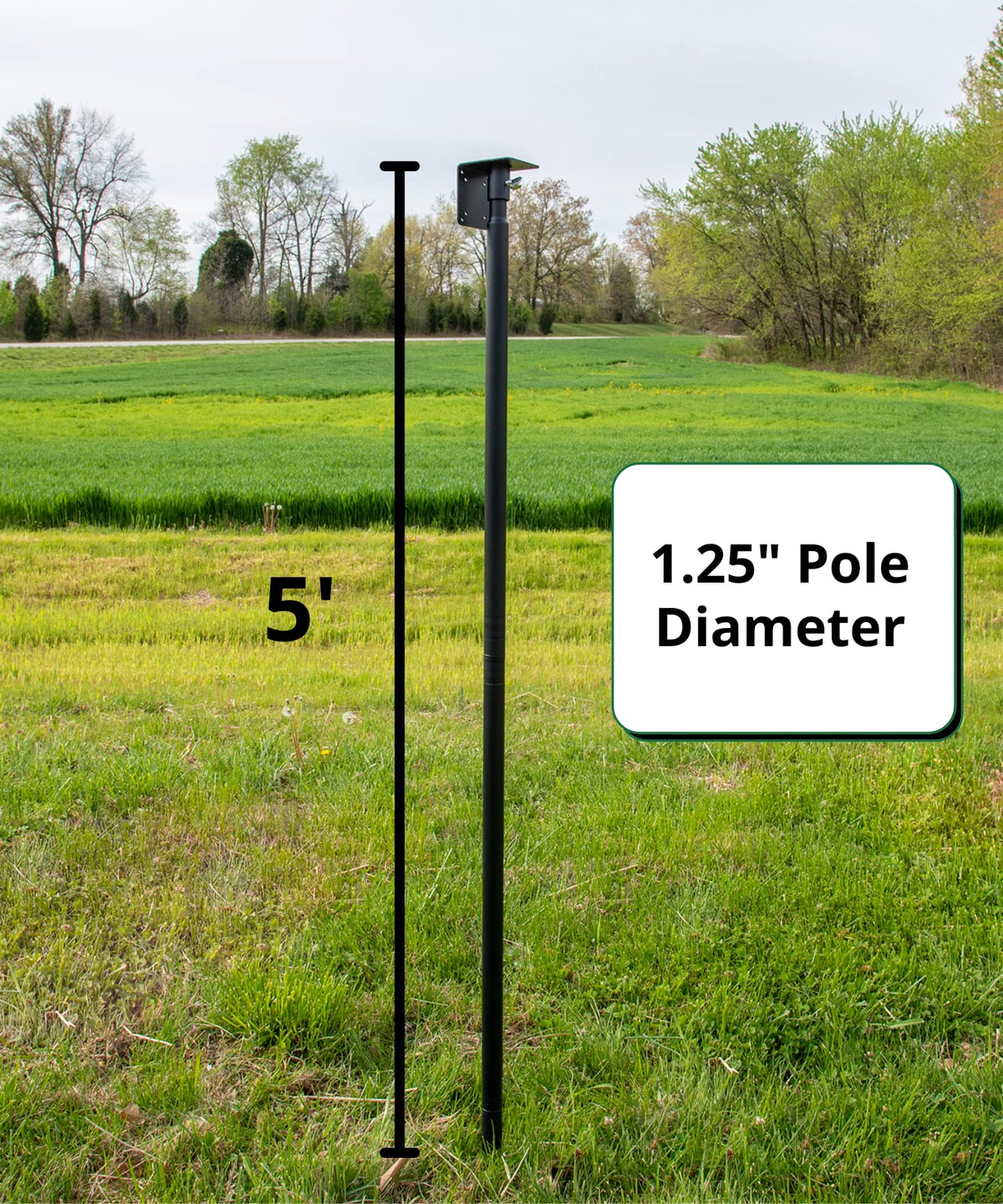 Bird Feeder Mounting Pole product image 5