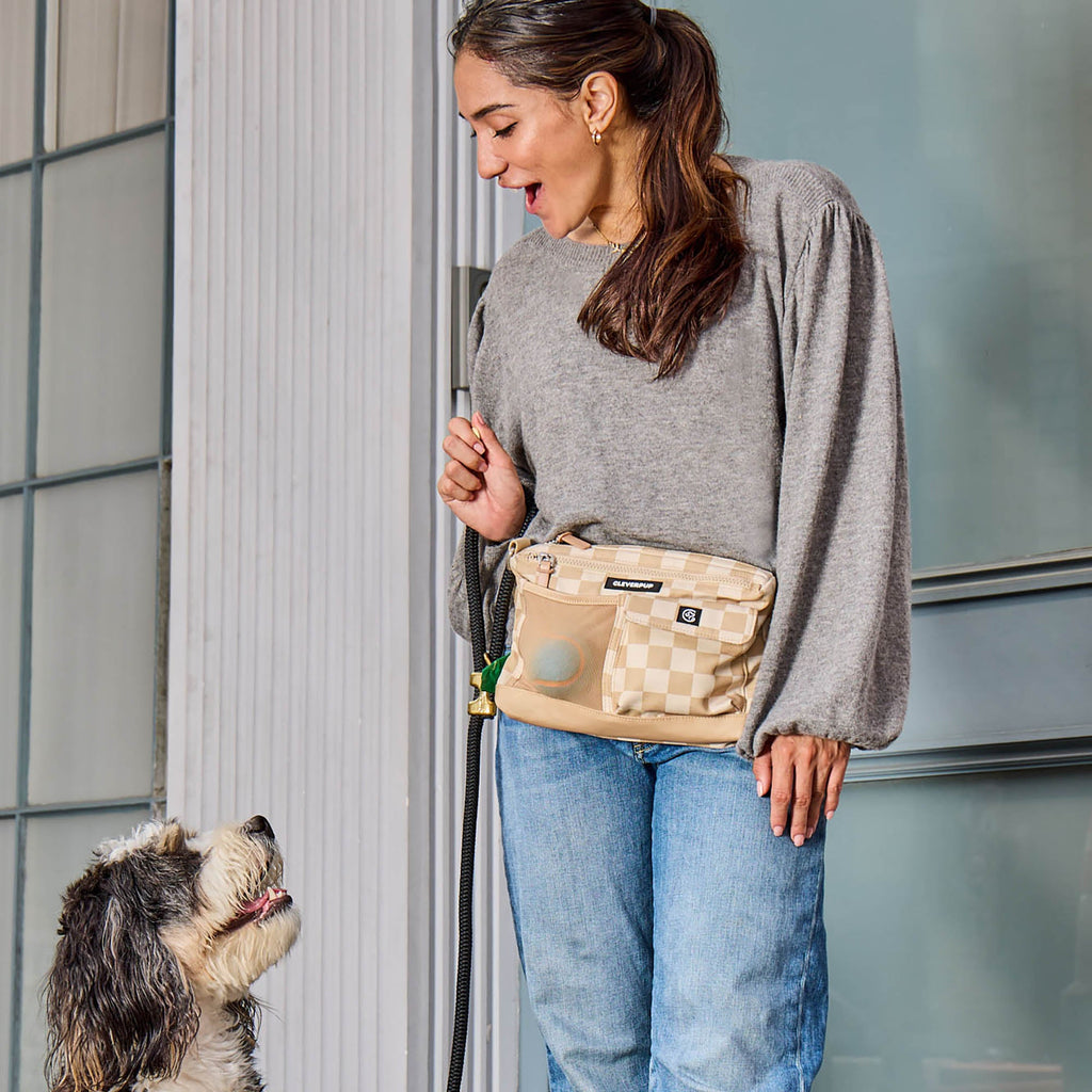Dog Walking Bundle product image 7