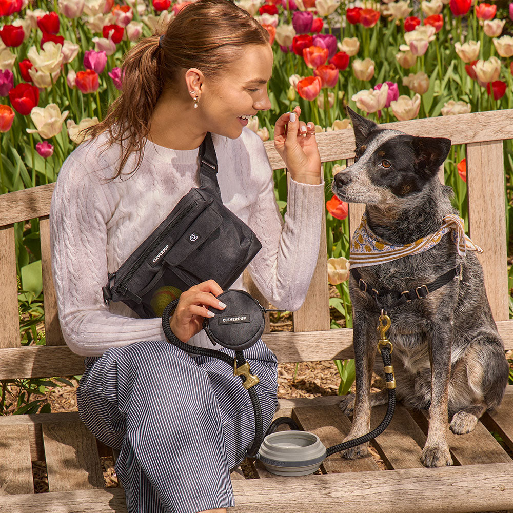 Dog Walking Bundle product image 9