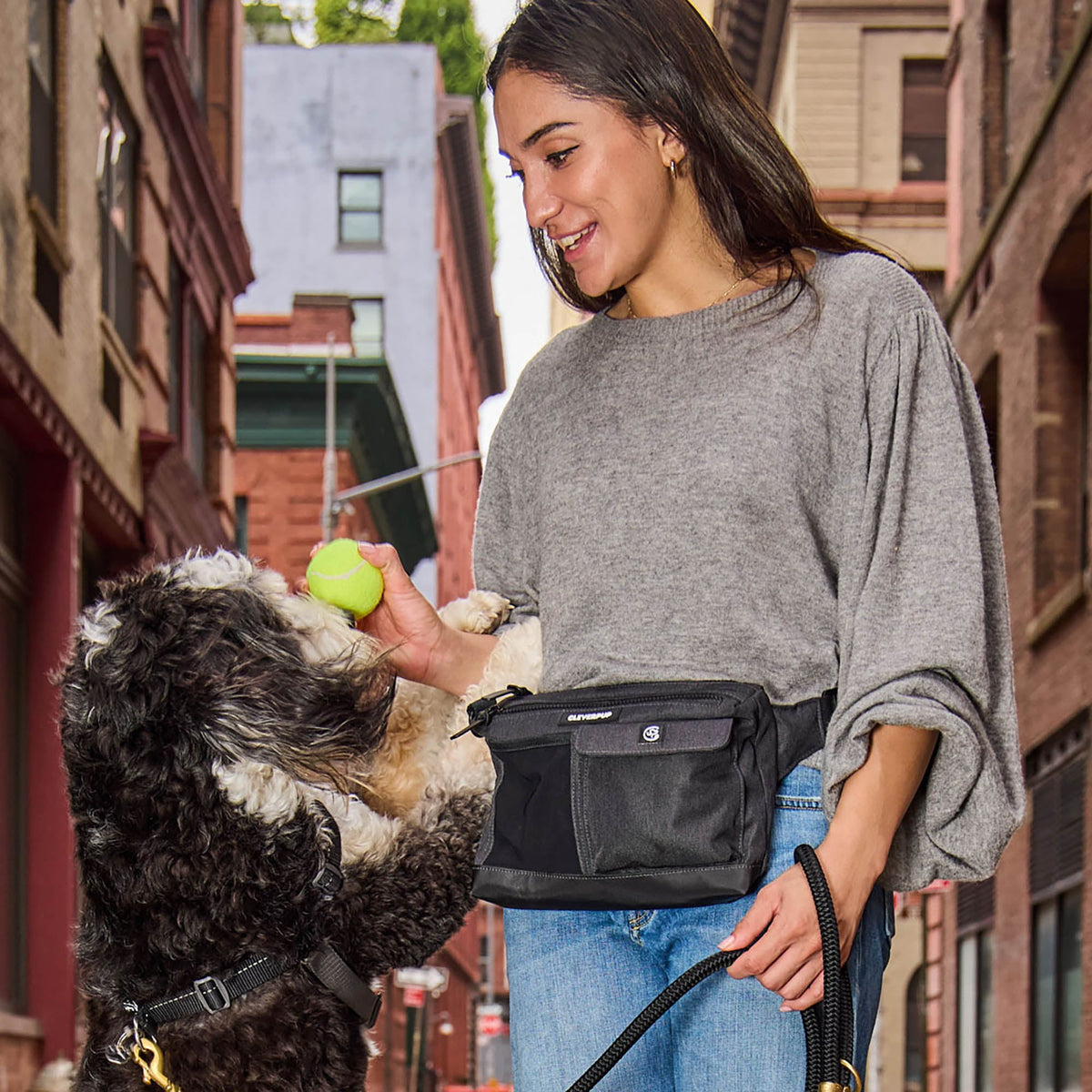 Dog Walking Bundle product image 15