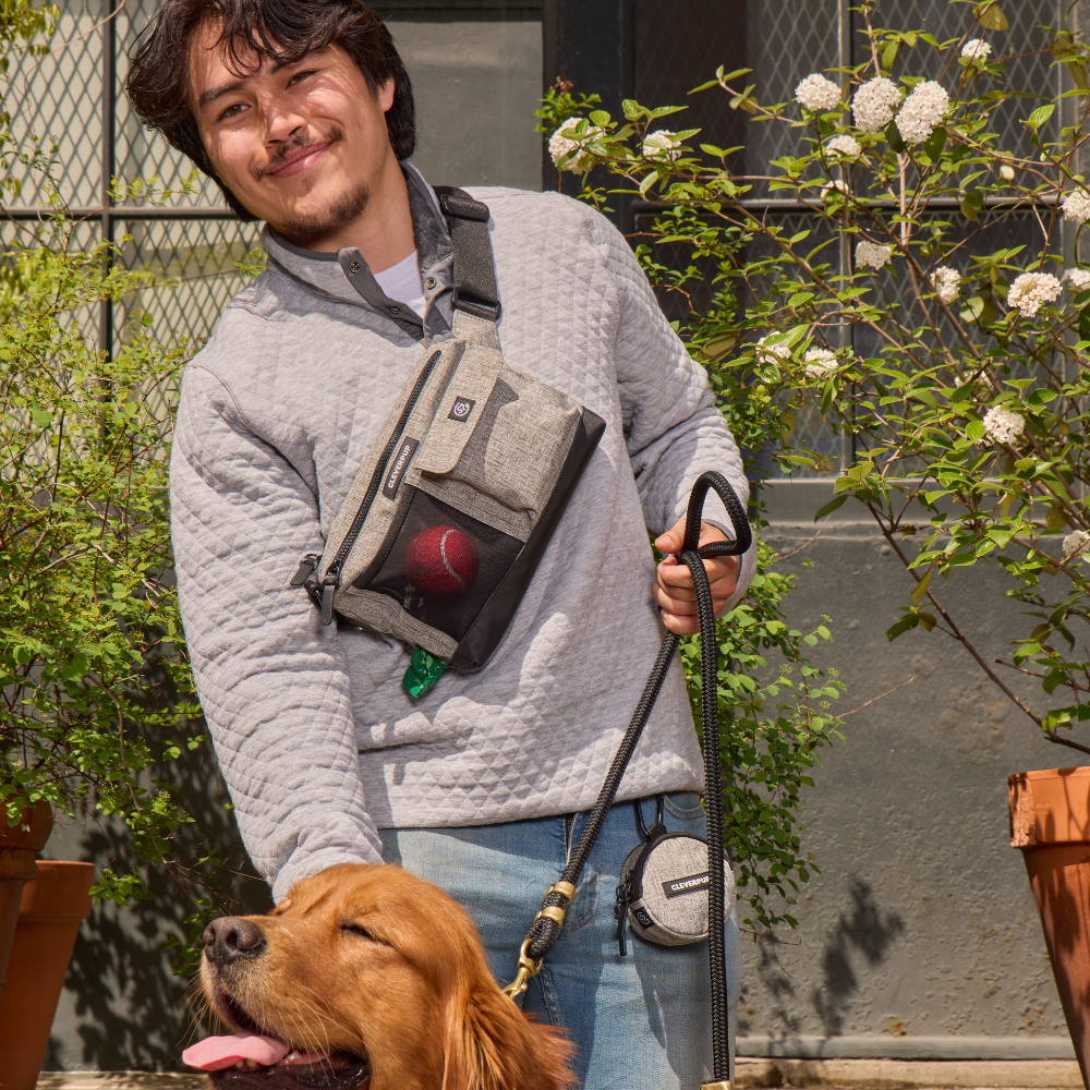 Dog Walking Bundle product image 17