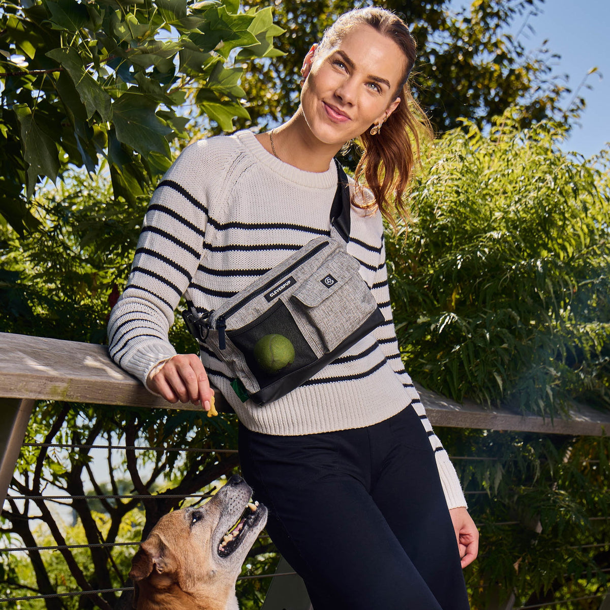 Dog Walking Bundle product image 21