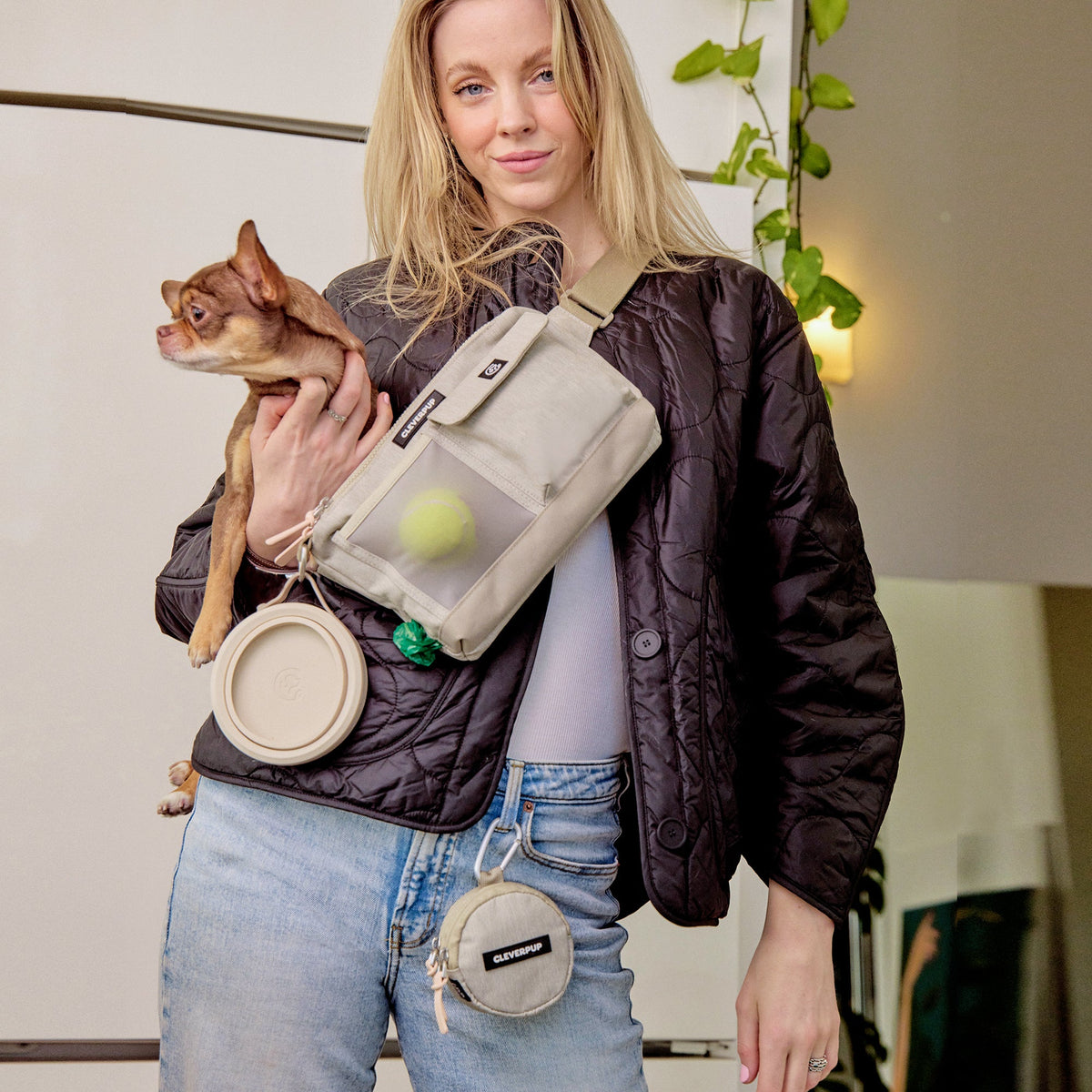 Dog Walking Bundle product image 24
