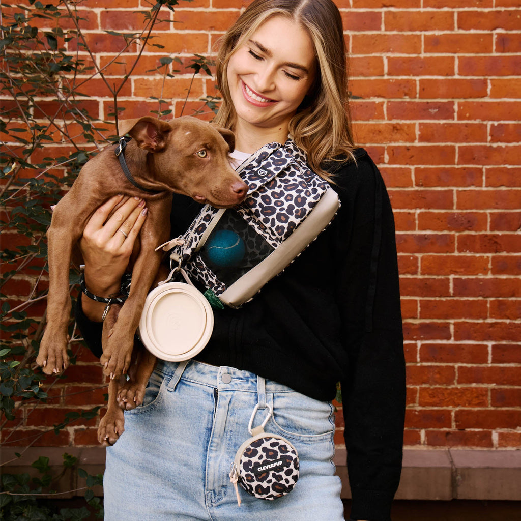 Dog Walking Bundle product image 31