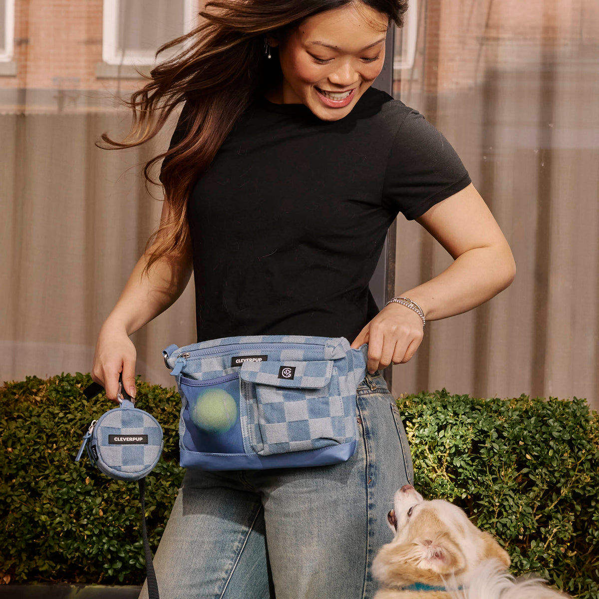 Dog Walking Bundle product image 38