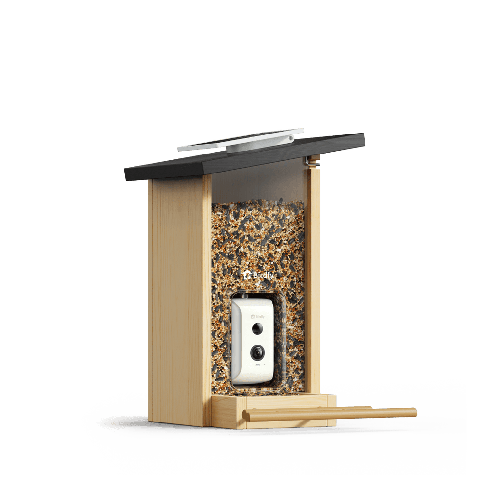 Smart Bird Feeder product image 1