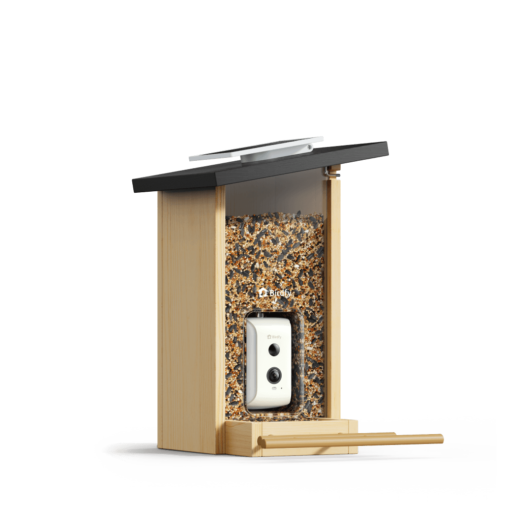 Smart Bird Feeder product image 1