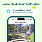 Smart Bird Feeder product image 2