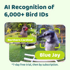 Smart Bird Feeder product image 3