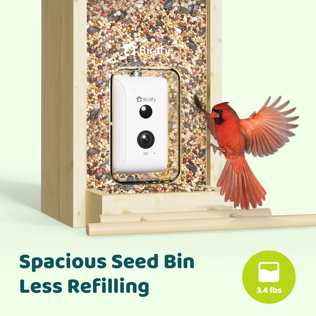 Smart Bird Feeder product image 4
