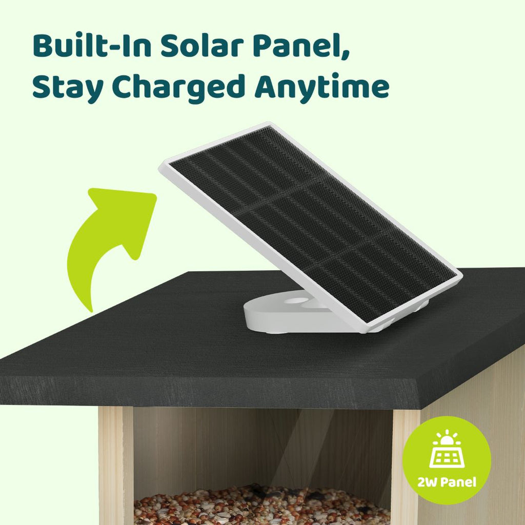 Smart Bird Feeder product image 5