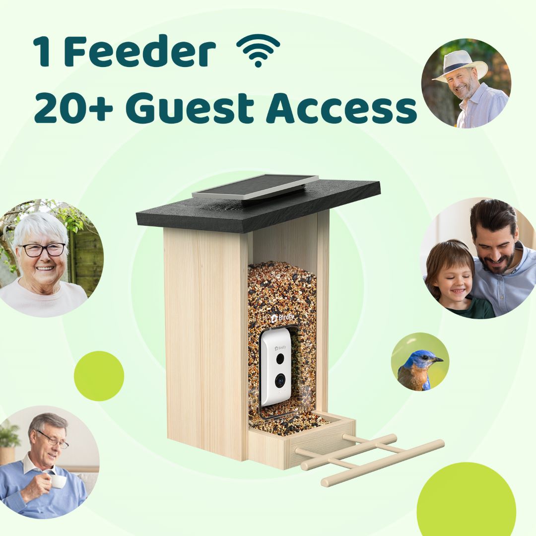 Smart Bird Feeder product image 7