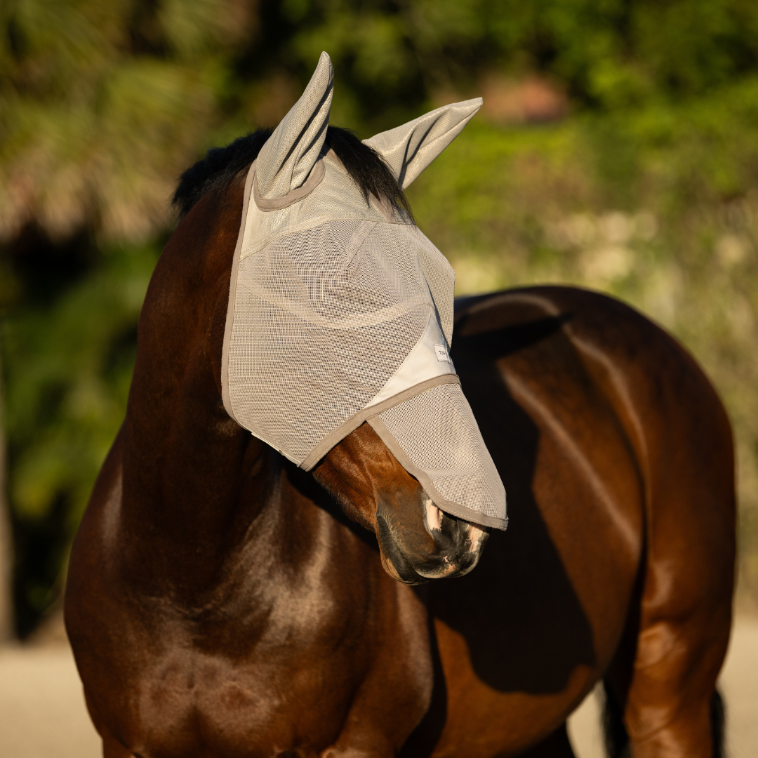 Horse Fly Mask product image 3
