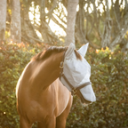 Horse Fly Mask product image 4