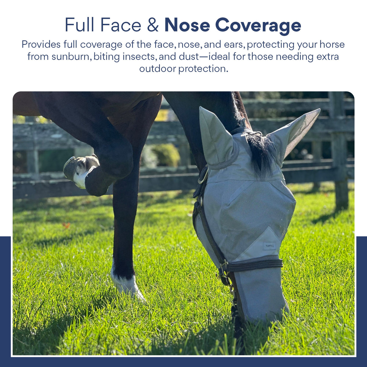 Horse Fly Mask product image 8