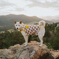 Dog Cotton Tee product image 2
