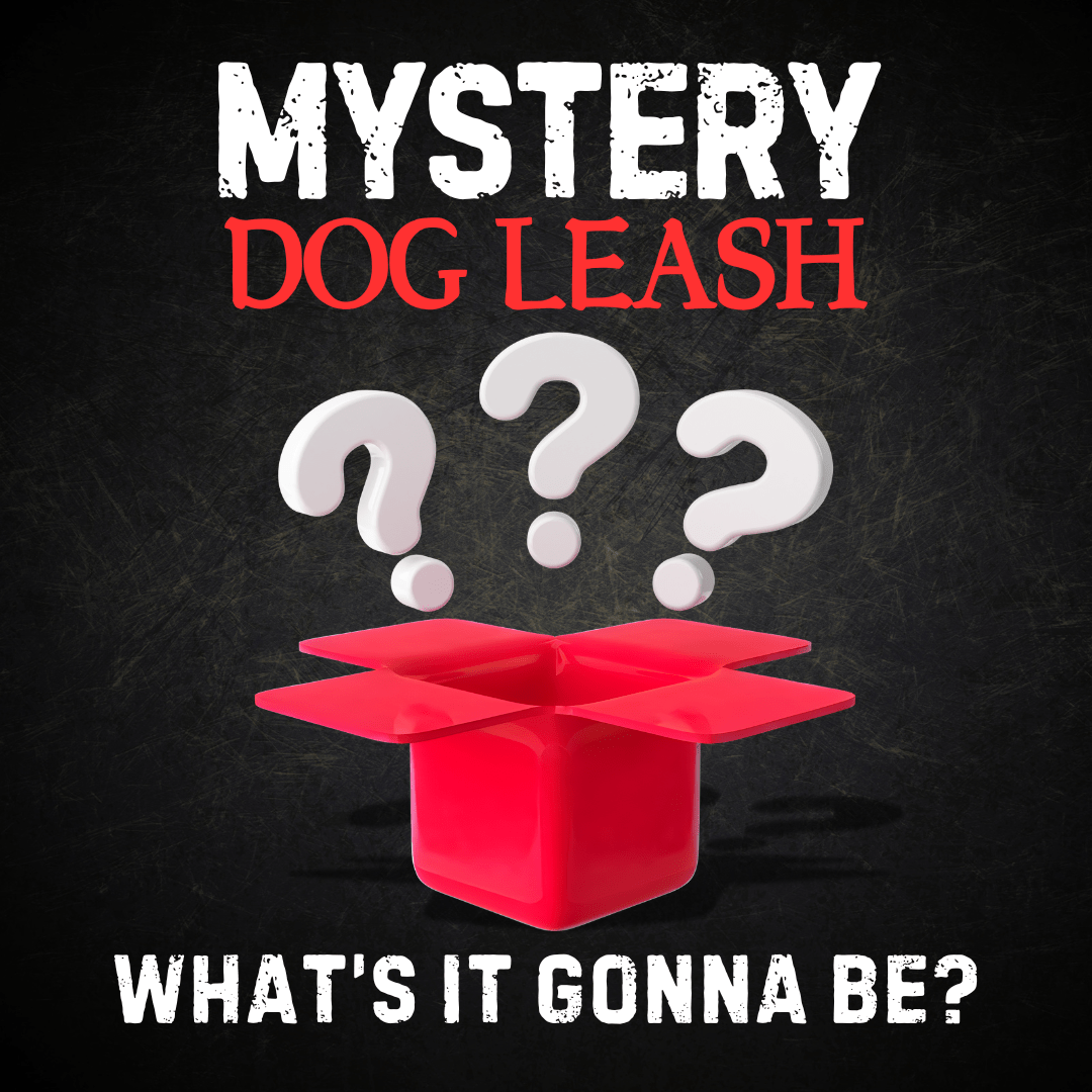 Mystery Dog Leash product image 1