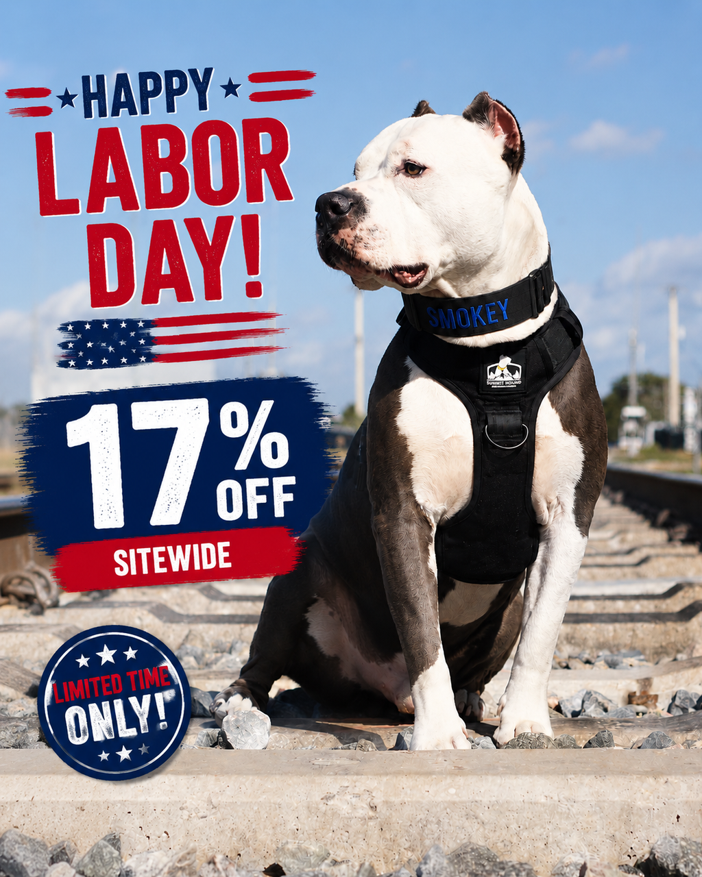 Heavy Duty No Pull Dog Harness product image 1