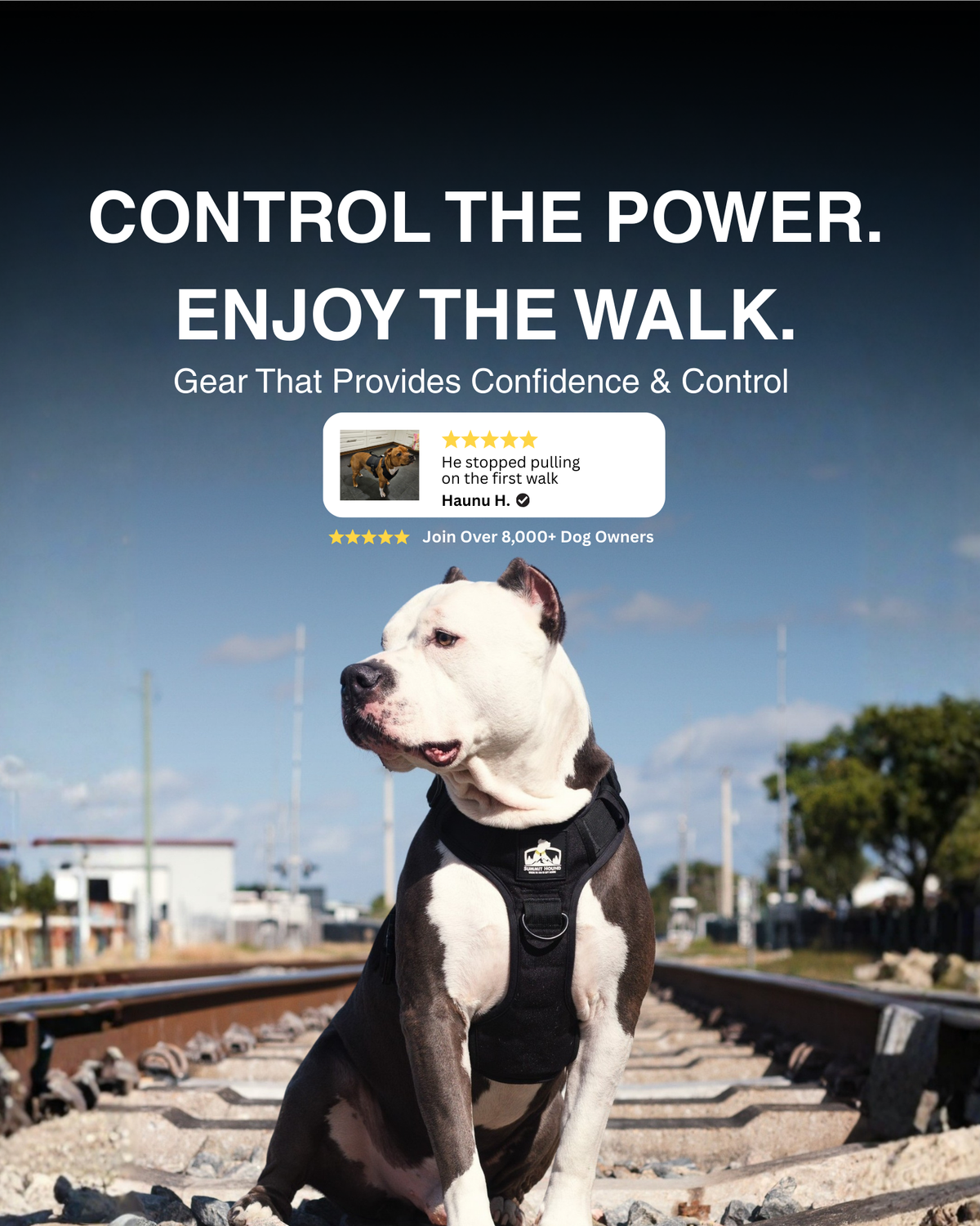 Heavy Duty No Pull Dog Harness product image 2