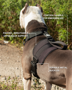 Heavy Duty No Pull Dog Harness product image 3